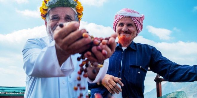 Suudi Arabistan’ın yüzyıllık Khawlani kahve üretimi sanatı Körfez Haberi