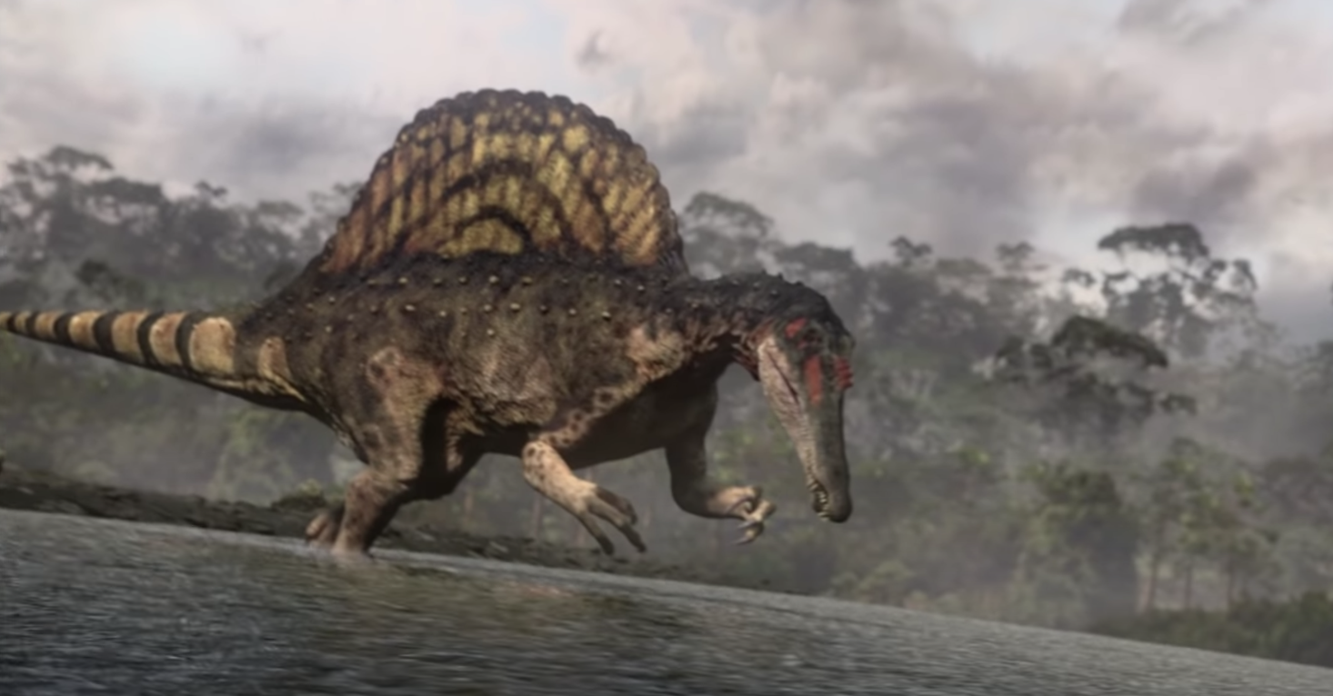 Хищный динозавр 12 букв. Гигантозавр ВВС. Тиранозавр против Гигантозавра. Гигантозавр фото. Гигантозавр меловой период.